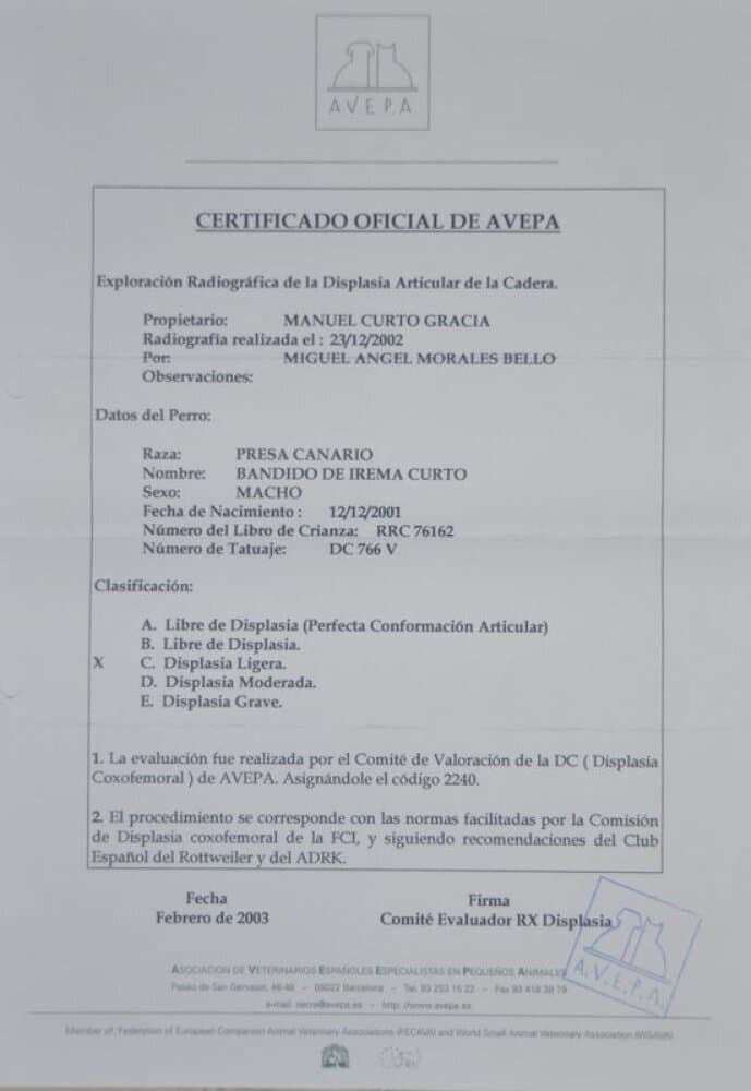 Bandido de Irema Curtó 5