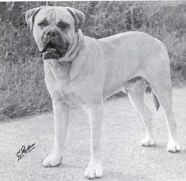 Loky of Mullorna 1