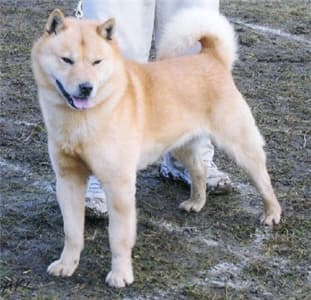 Hokkaido (Ainu-ken)