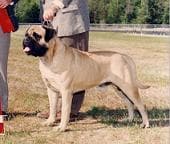 LEATHERNECKS GRIZZLY 1
