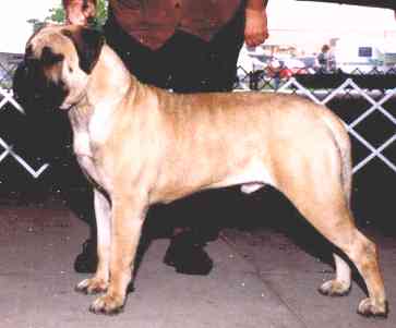 LEATHERNECK SPANKY MCFARLAND 1