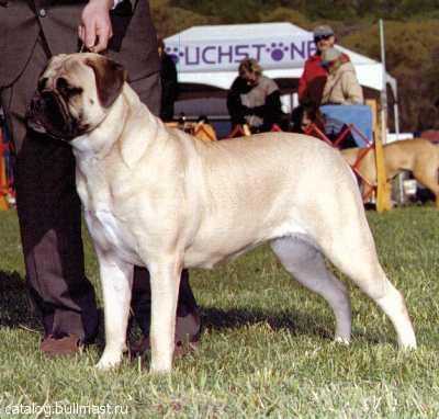 LEATHERNECK EVEREADY 1