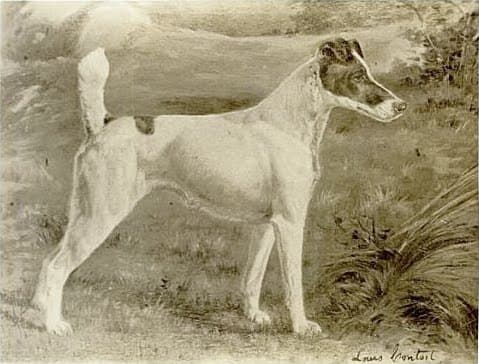 Ch. Warren Remedy 1