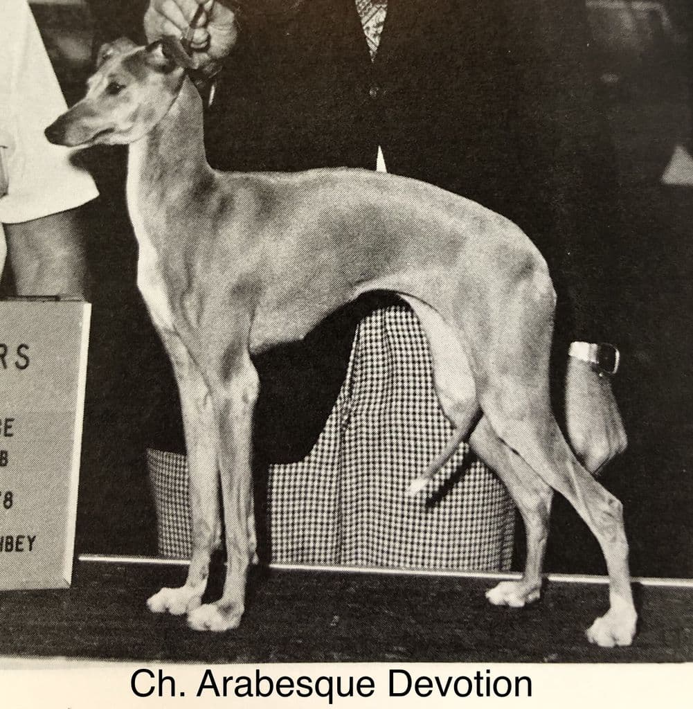 Arabesque Devotion 1