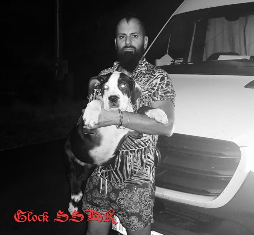 GLOCK OF SEVEN SHARKY DINASTY 1