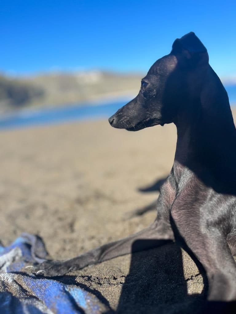 Xerena de Talonkan 1