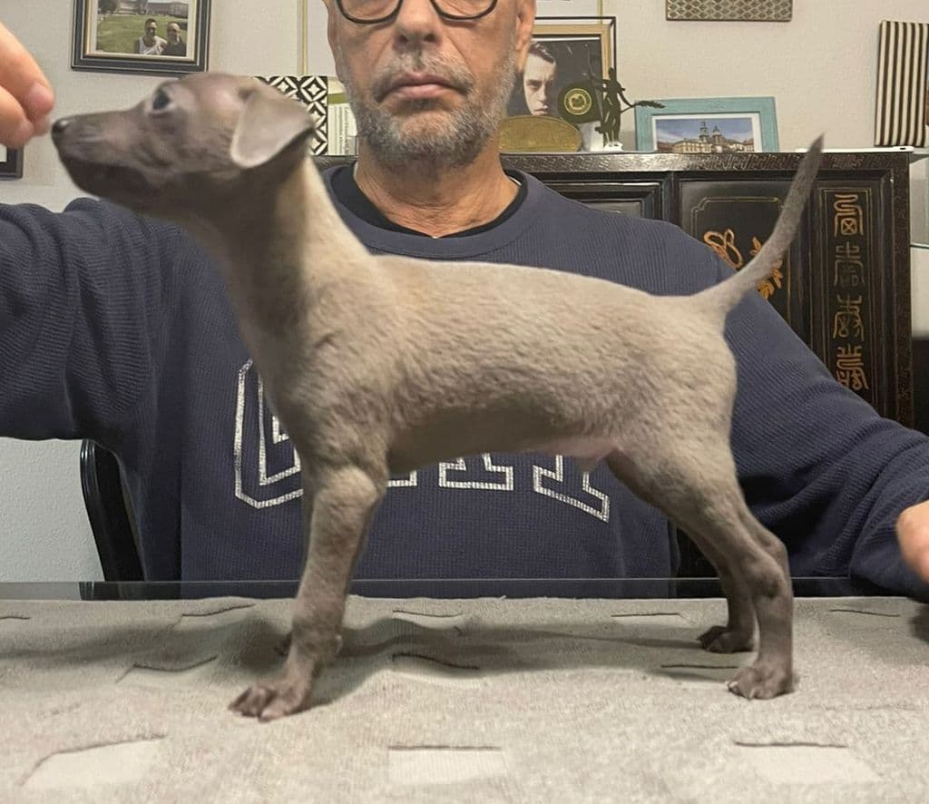 Boabdil El Chico De Benaudalla 1