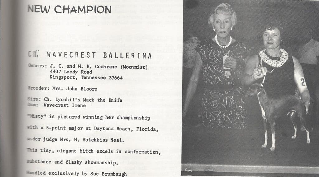 Wavecrest Ballerina 1