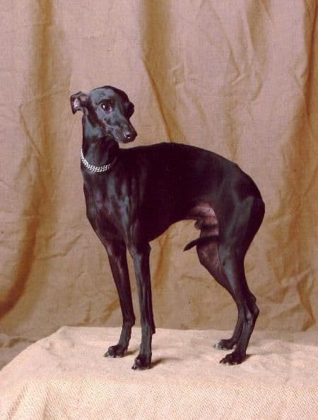 Onyx Des Trois Pyramides 1