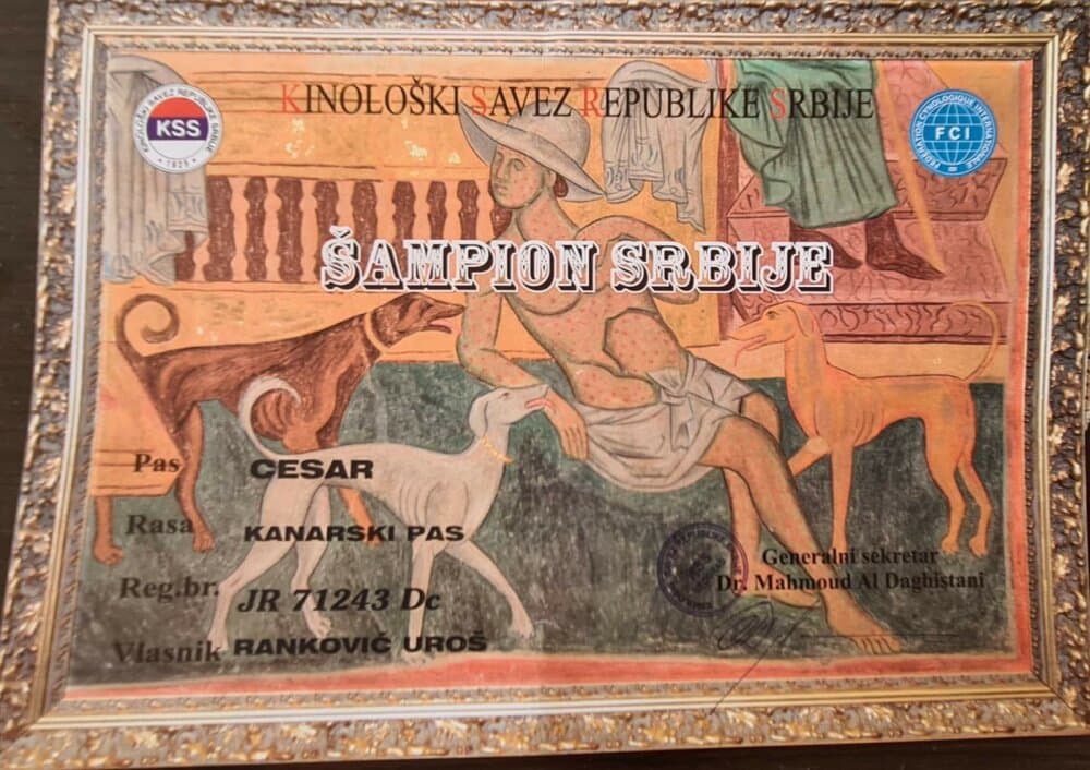CEZAR 1