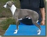 Edgeof Mitimax 1