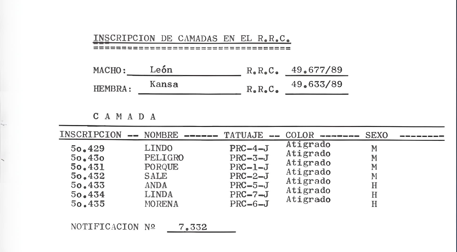 LINDO DE LOS ENANOS 1