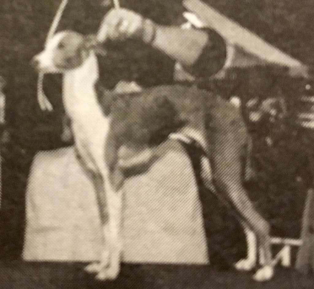 Jobi Circe De Millstone 1