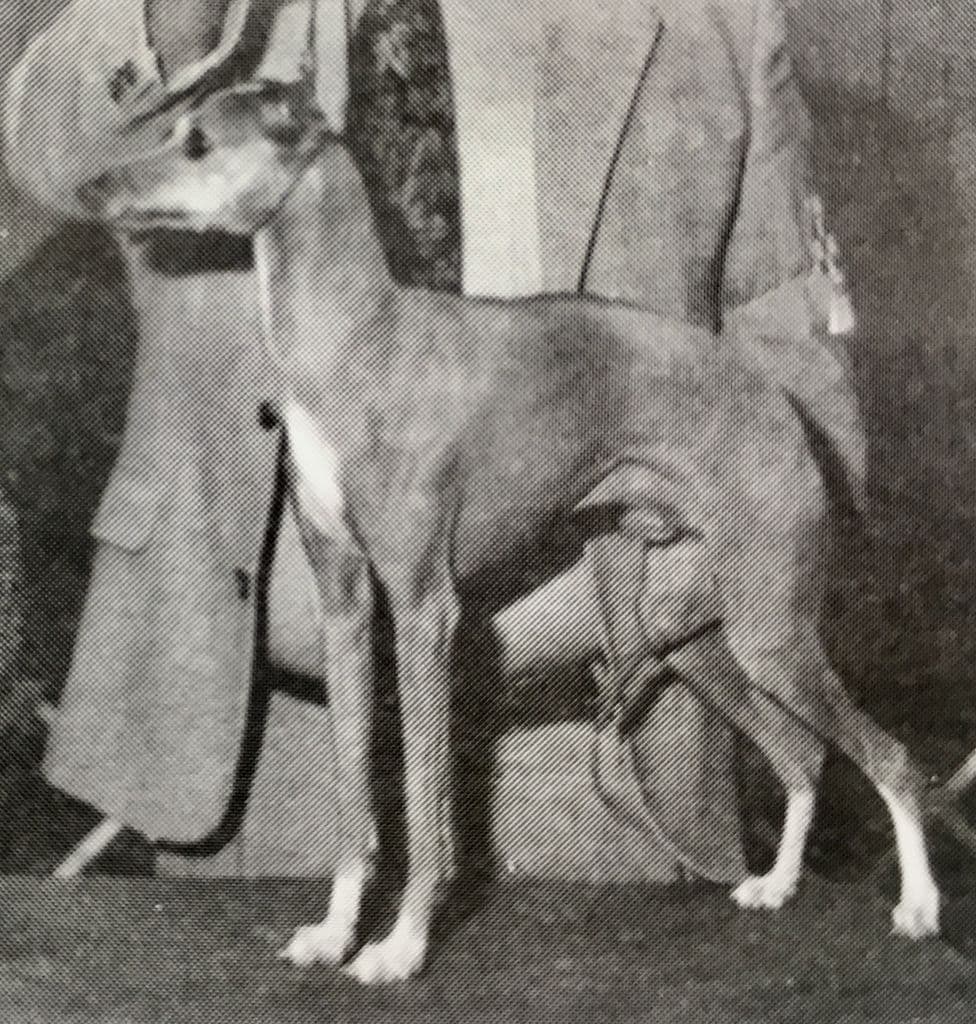 Prima's Chi Chi Rodriguez 1