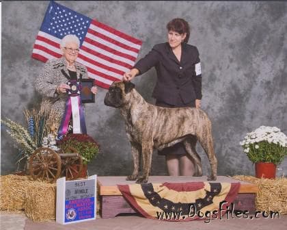 KNATCHBULL'S RUN FOR THE ROSES 1