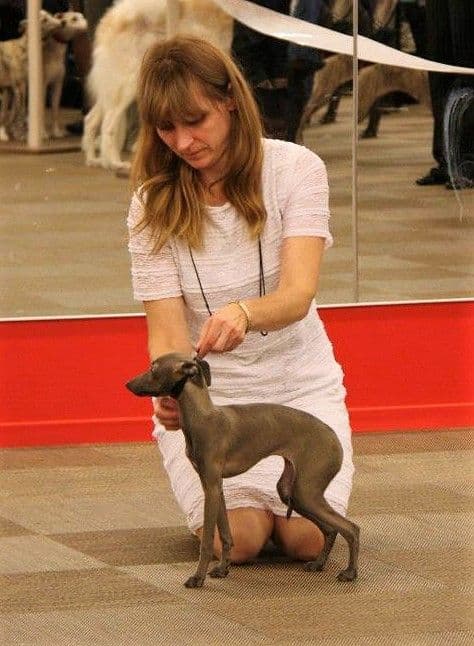 Astra Bravissimo Philadelphia 1