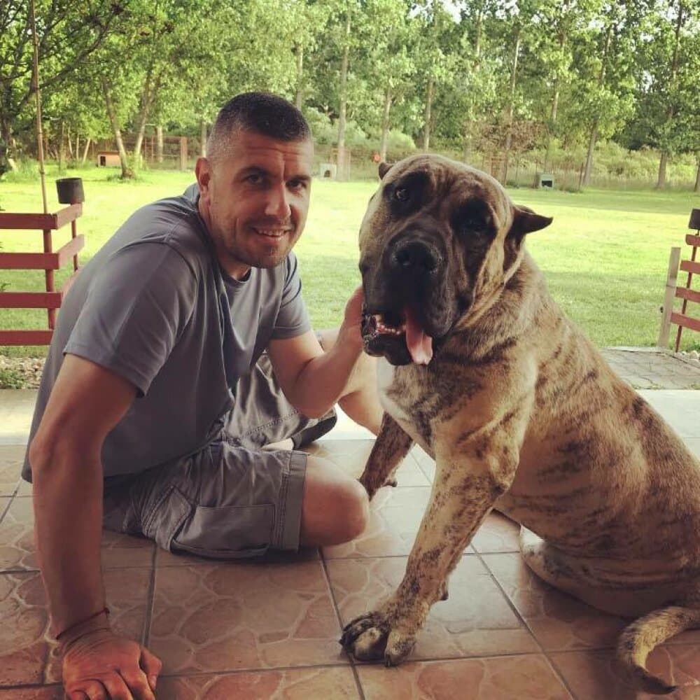 BOSS BULL CANARIO ALONSO 1