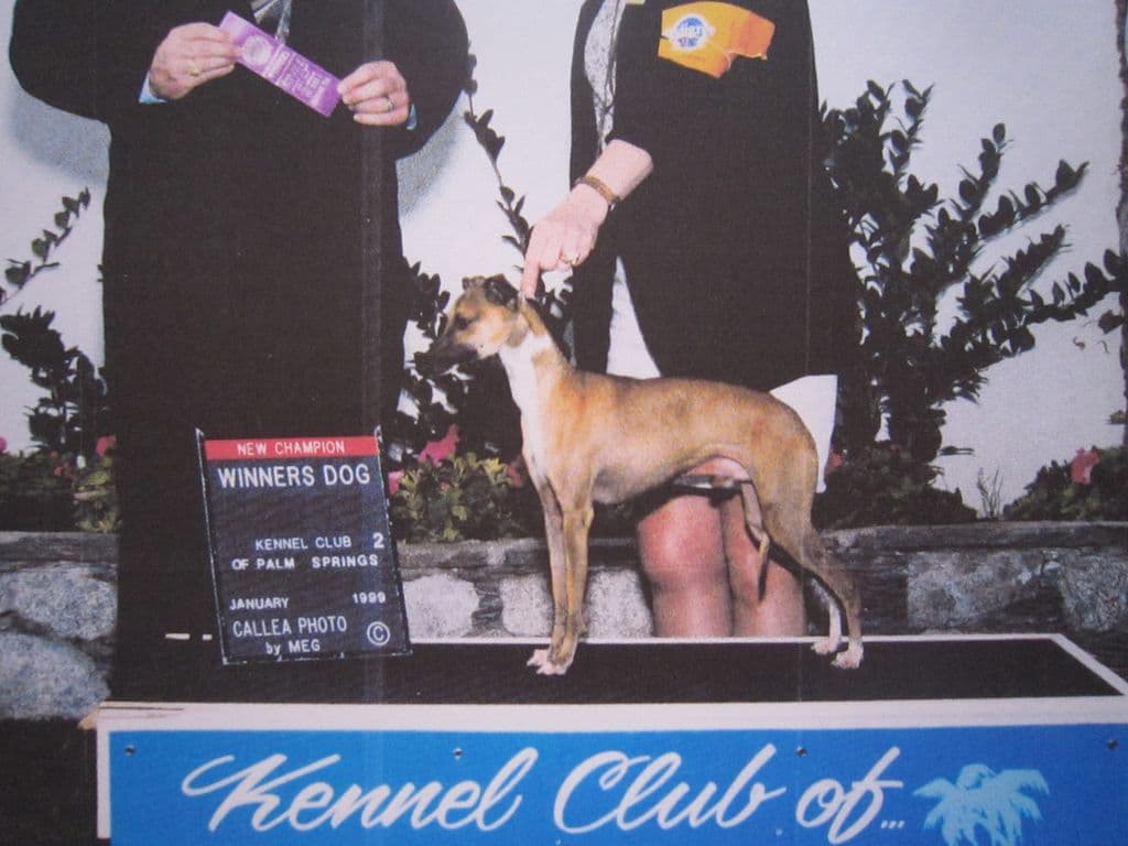 Peachwoods Caught Red-Handed 1