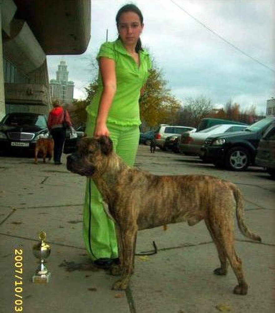 SANCHES RODJERS D'PLATA KOPO 1