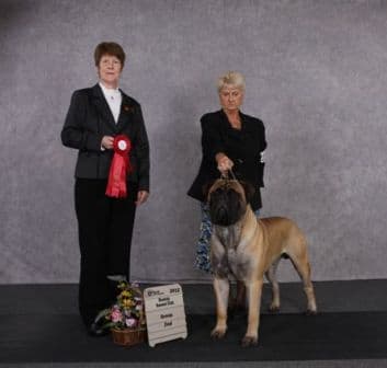 KNATCHBULL'S KENTUCKY ZACHERY 1