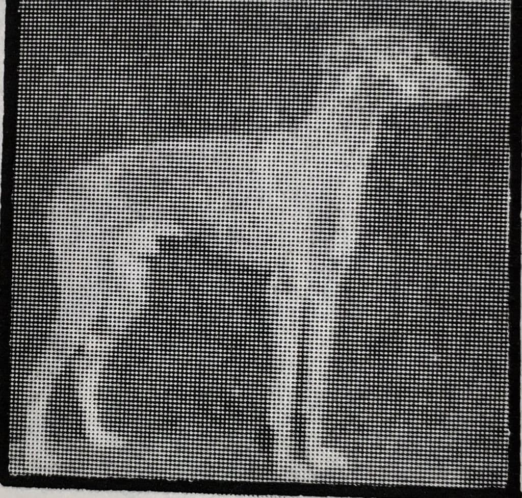 Hillengold's Blue Boy 1