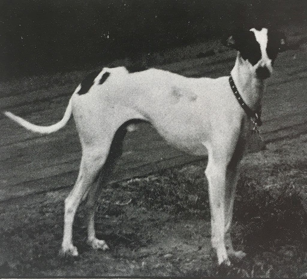Avagadro's One Puccini 1