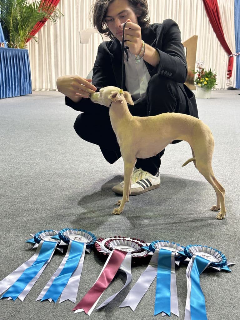 Altamiruas Gran Prix 1