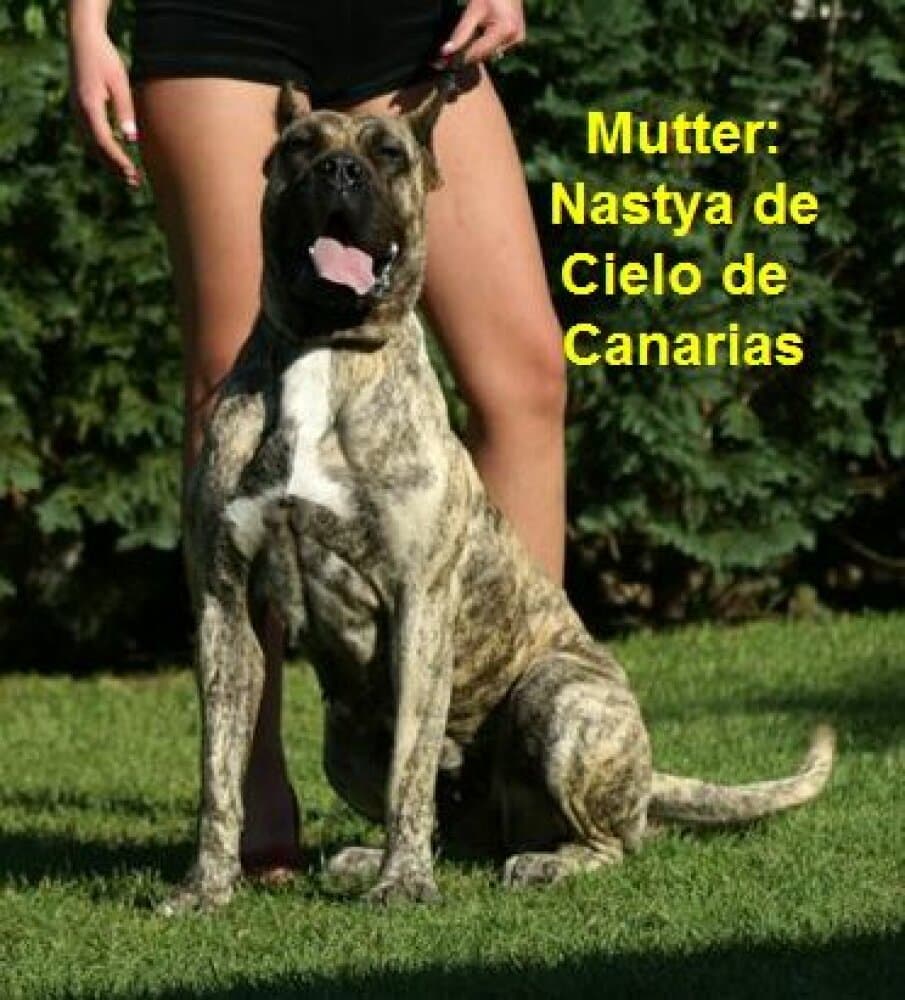 NASTYA DE CIELO DE CANARIAS 1