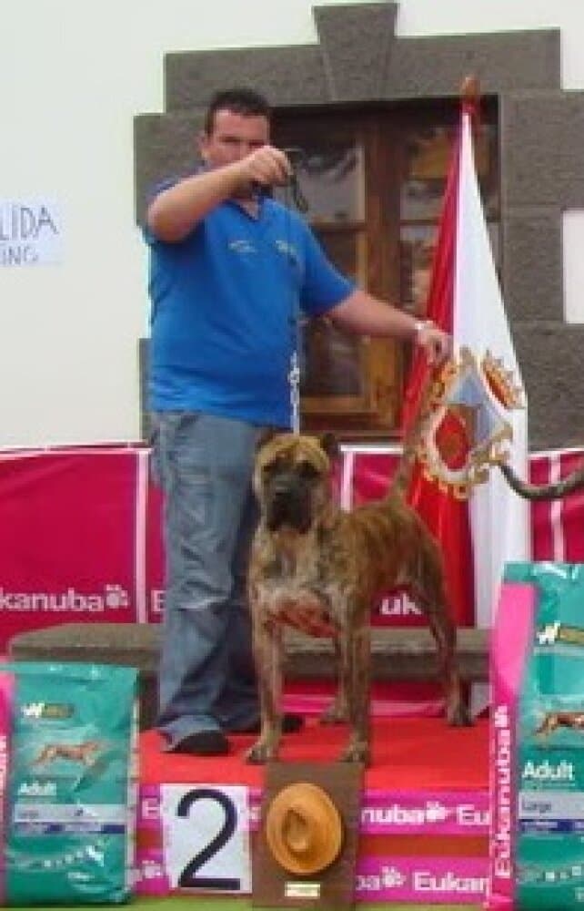 GUAYRE DE SAMCOR 1