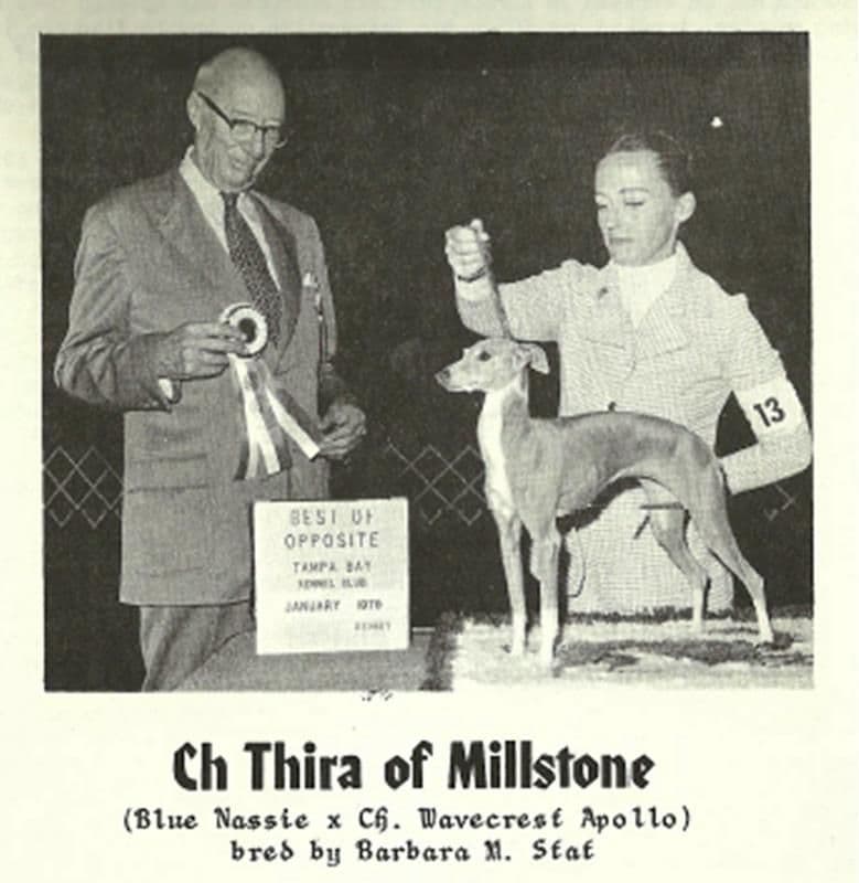 Thira Of Millstone 1