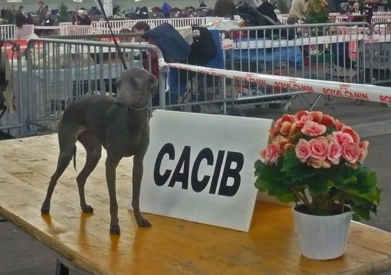 Dolce Vita Des Princes De Kazan 1