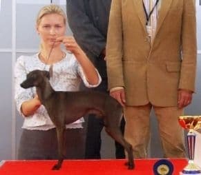 Lux Loral Cesar Vittorio 1