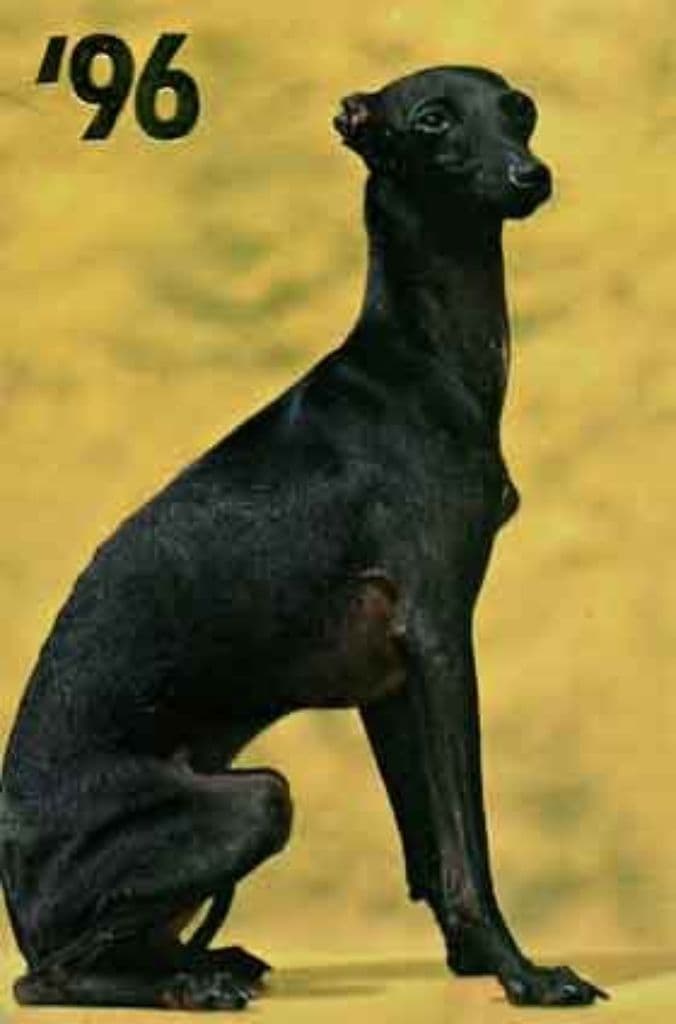 Fiefoerniek's Fulco 1