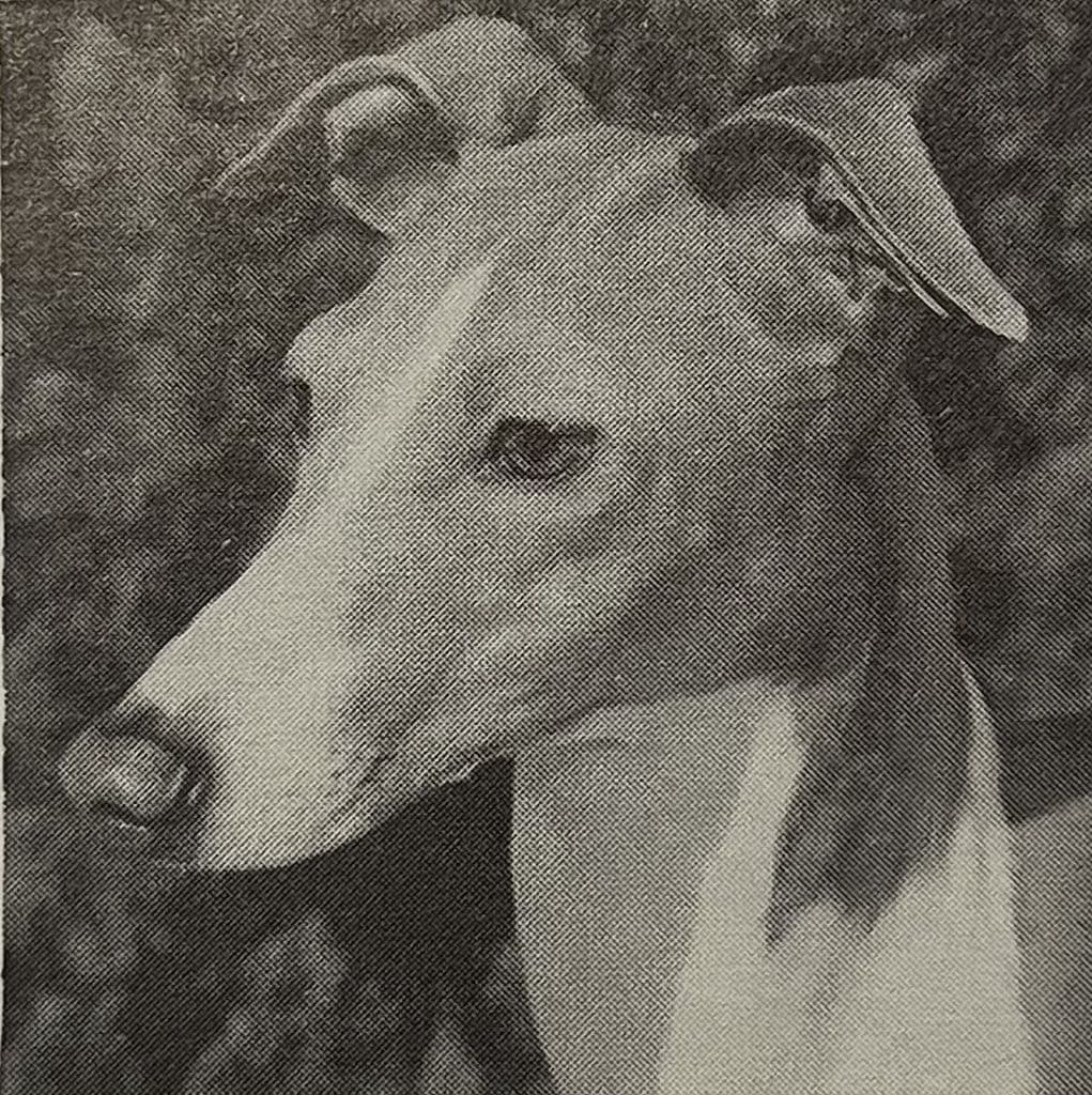 Banneco's Saint Nicolas 1