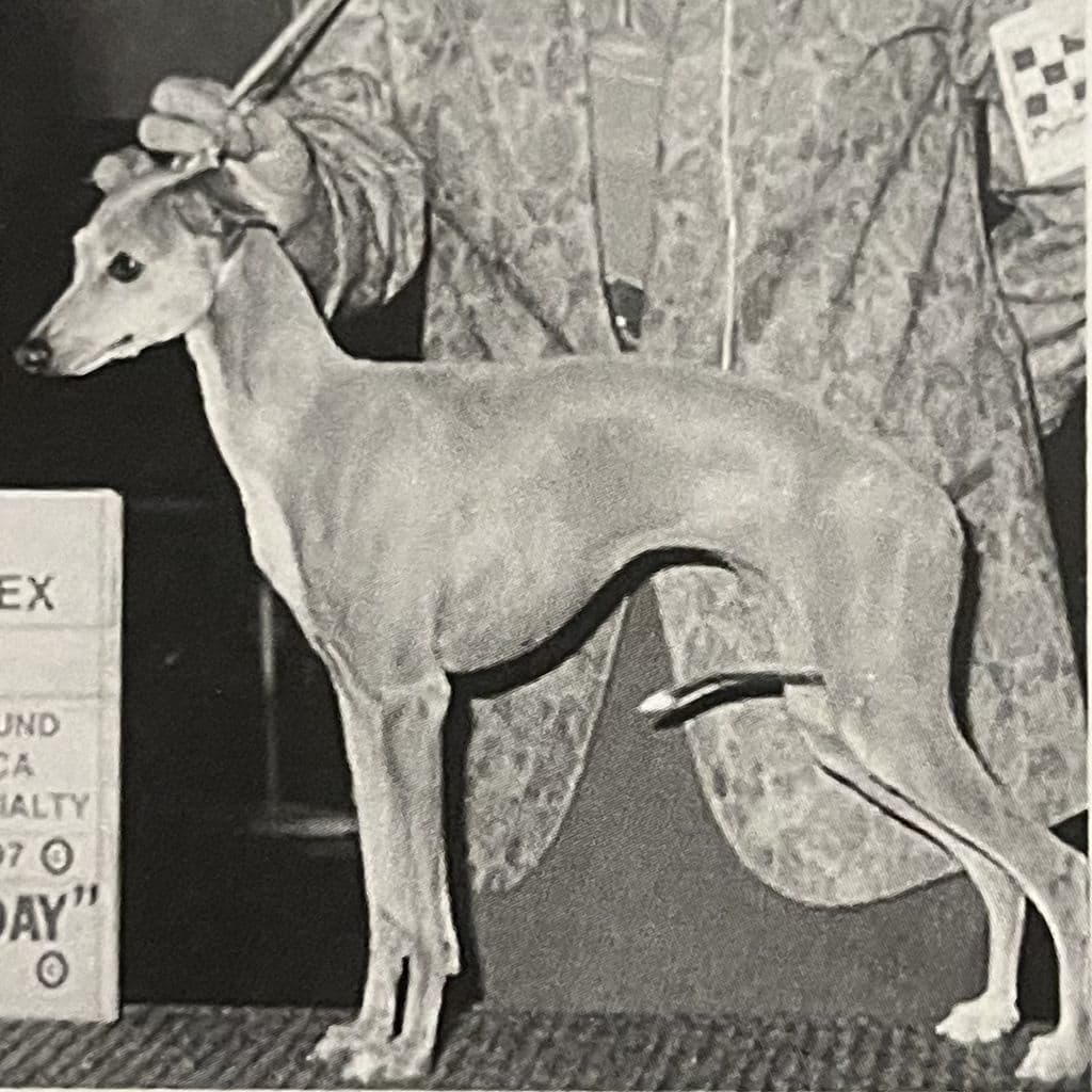 Misty Vale's Penny Lane 1