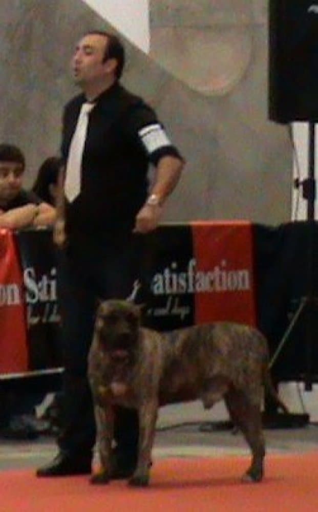 AZUFRE DEL CALABAZO 1