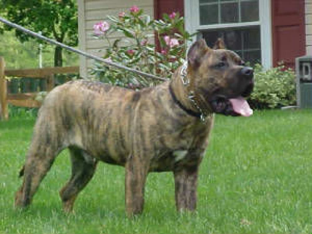 ZEKE DE OUTCAST 1