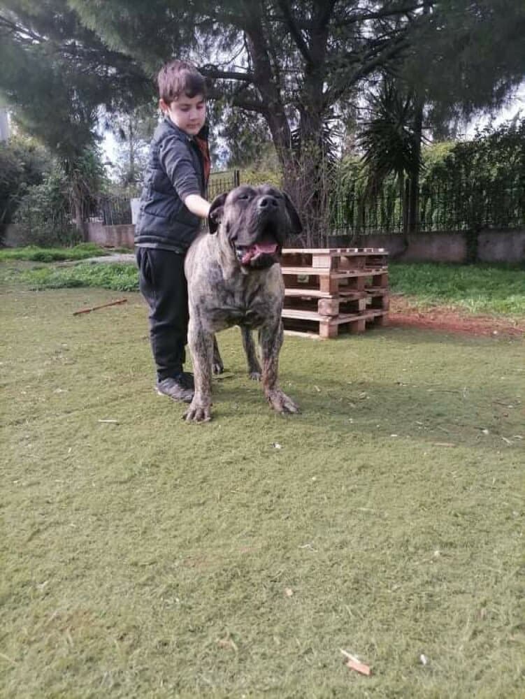 TRUCO DE SAMCOR 1