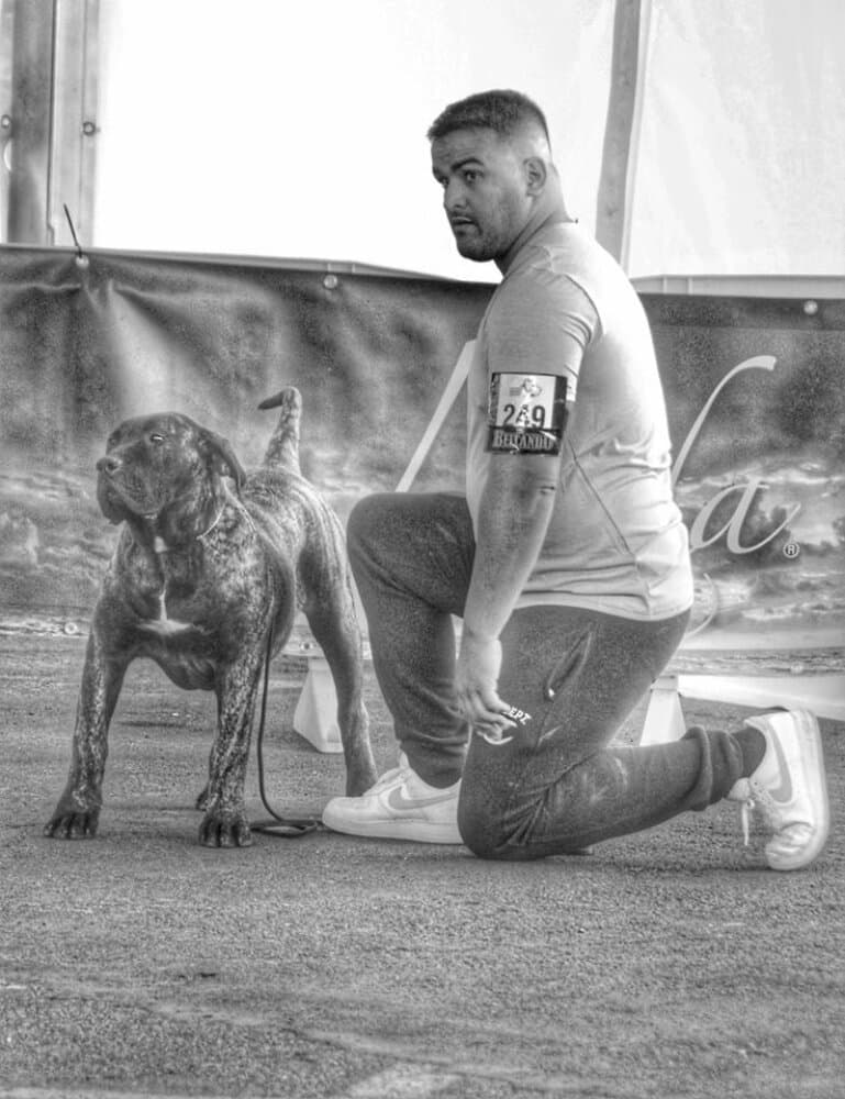 ERKO DE GAROEBULLDOG 1