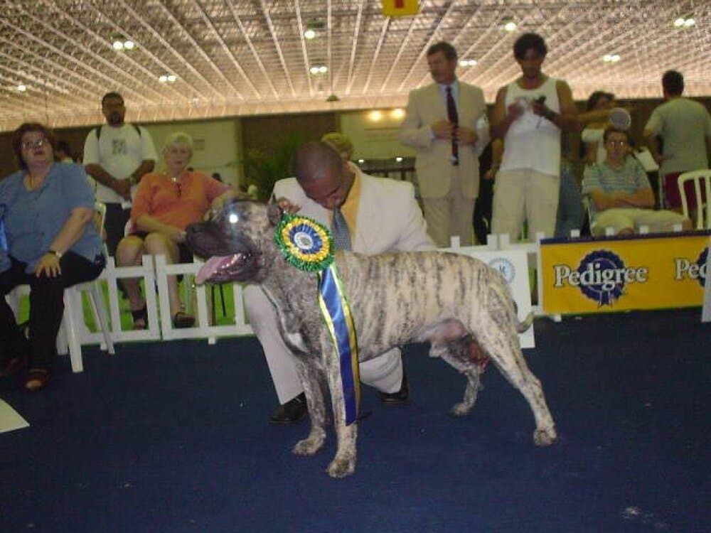 FEISAL DE LOS CARDONES 1