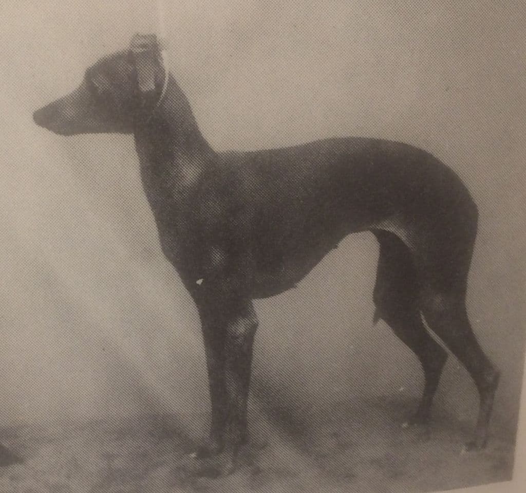 Russo's Capuana Di Bennato 1