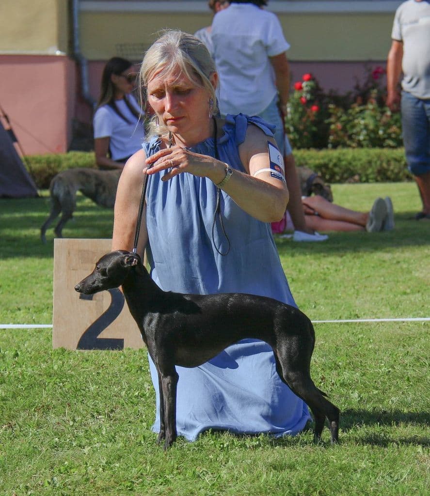 Astra Bravissimo Ulula 1
