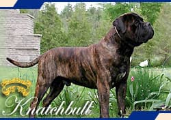 ONAN OF KNATCHBULL 1