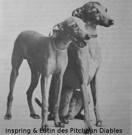Inspring Des Pitchoun Diables 1