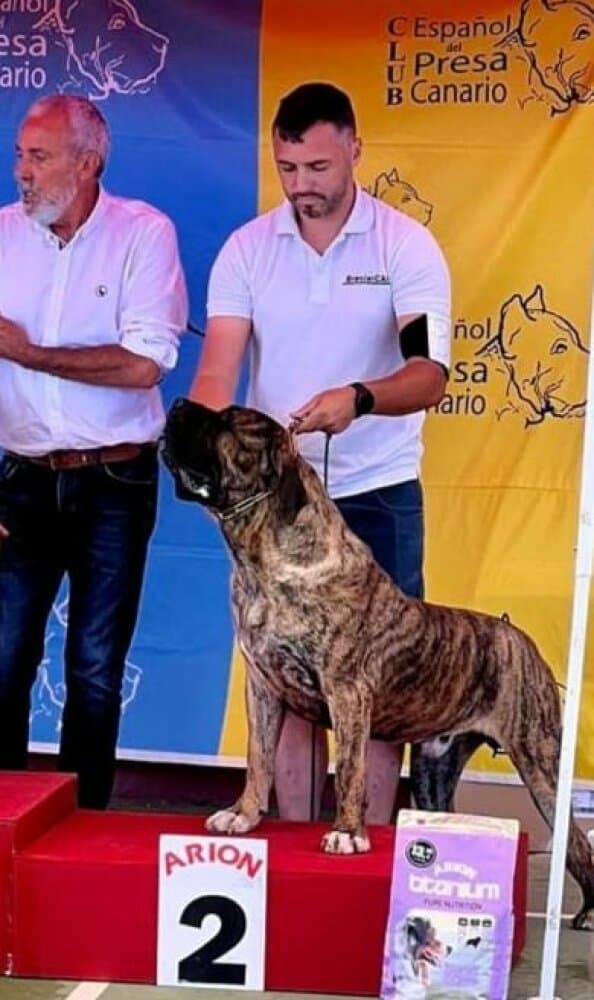 ARES DE BREVIERCAN 1