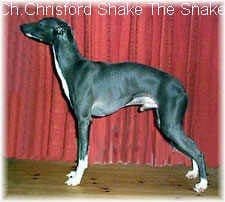 Chrisford Shake The Snake 1