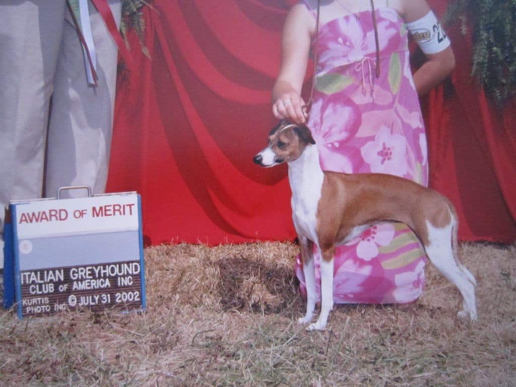 Satori Angelina Ballerina 1