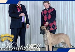 BANSTOCK ROCHELLE OF KNATCHBULL 1