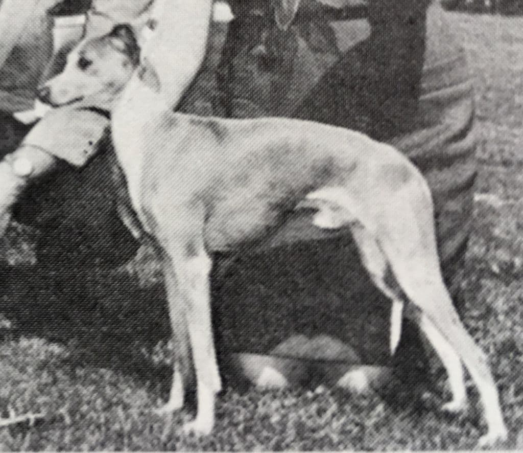 Post's Giacomo Puccini 1