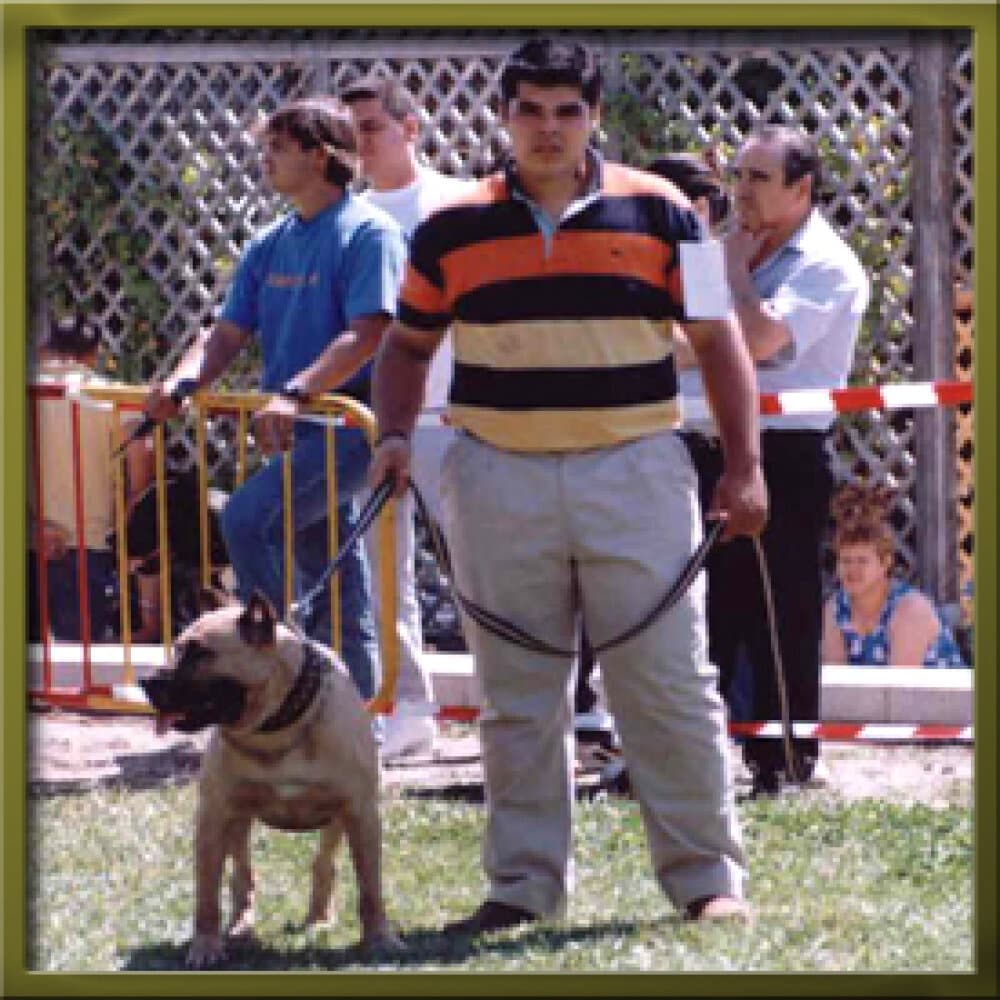 WAKO DE GUADALCAN 1